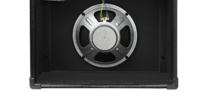 Empty unloaded 1x12 guitar speaker cabinet ready for a speaker driver