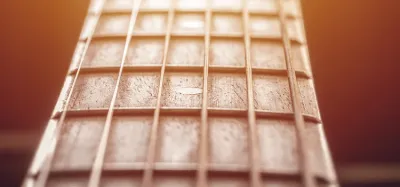 Close-up of guitar fretboard woods showing rosewood, maple, and ebony grain