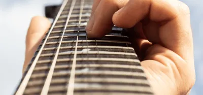 Close-up of metal guitar frets across a wooden fretboard