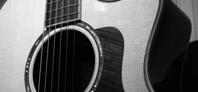 Acoustic guitar bridge, saddle, and strings inspected for dull tone problems
