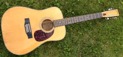 Close-up of a 12-string acoustic guitar showing the doubled string courses